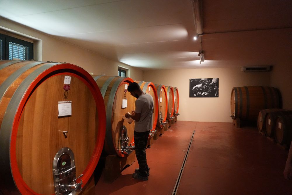 記者手記｜葡萄滿枝頭 焦慮壓心頭——探訪美關稅沖擊下的意大利酒莊