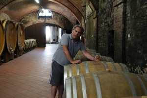 記者手記｜葡萄滿枝頭 焦慮壓心頭——探訪美關稅沖擊下的意大利酒莊